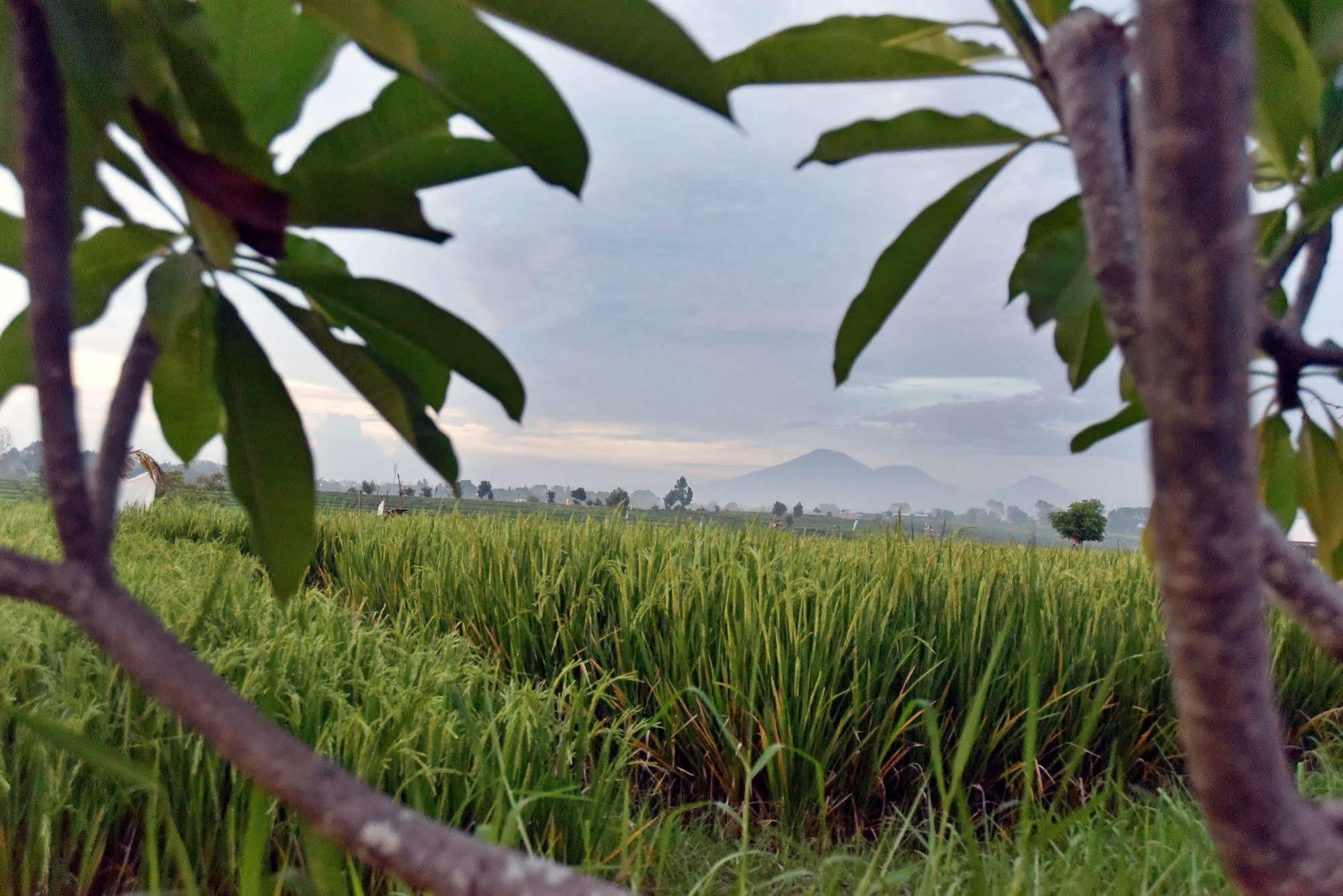 Villa Yenian Canggu Esterno foto